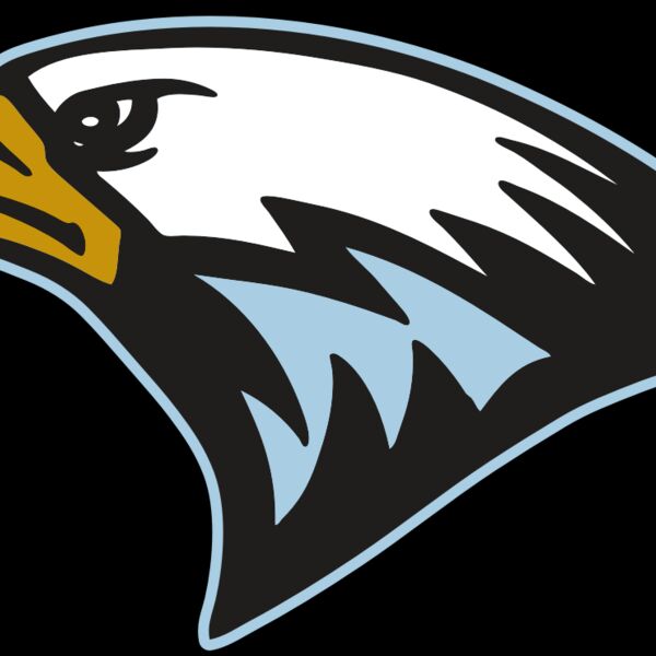 AR EAGLE 27 RC Thumbnail