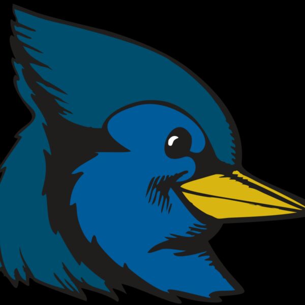 BAW BLUEJAY 07 RC Thumbnail