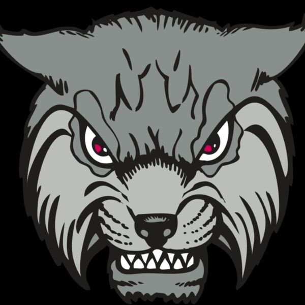 BAW BOBCAT 02 RC Thumbnail