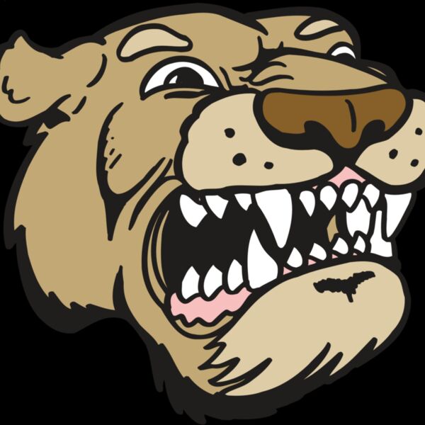 AR5 COUGAR 04 RQC Thumbnail